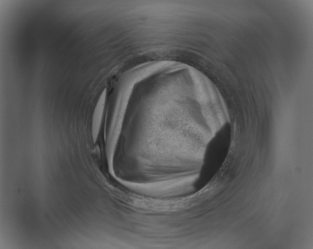 X0000069800048200606021450