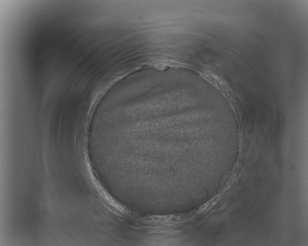 X0000069800049200606021450