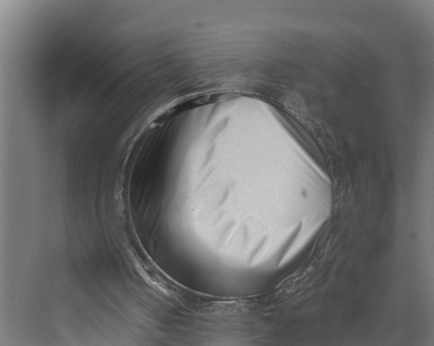 X0000069800050200606021450