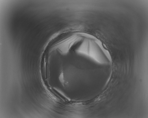 X0000069800054200606021450