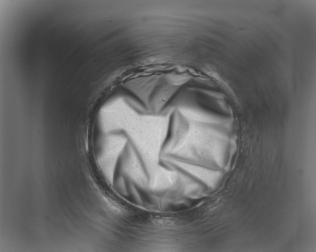 X0000069800062200606021450
