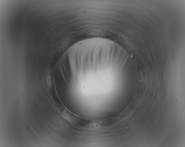 X0000069800080200606021450