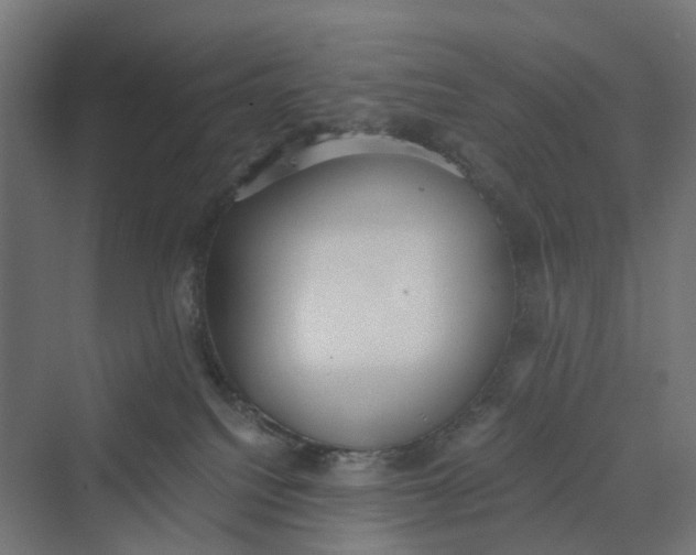 X0000069800088200606021450