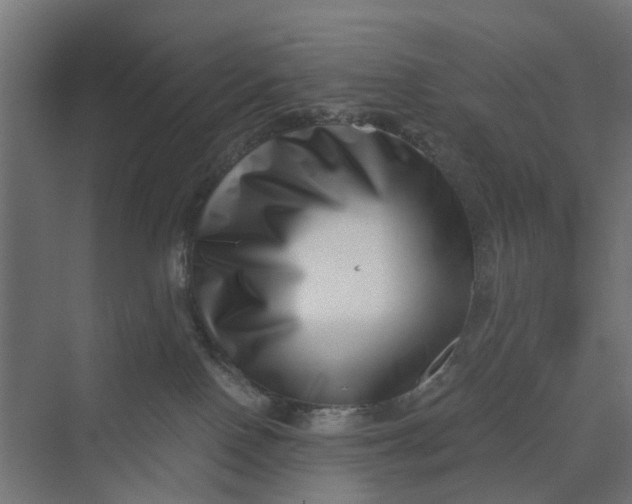 X0000069800090200606021450