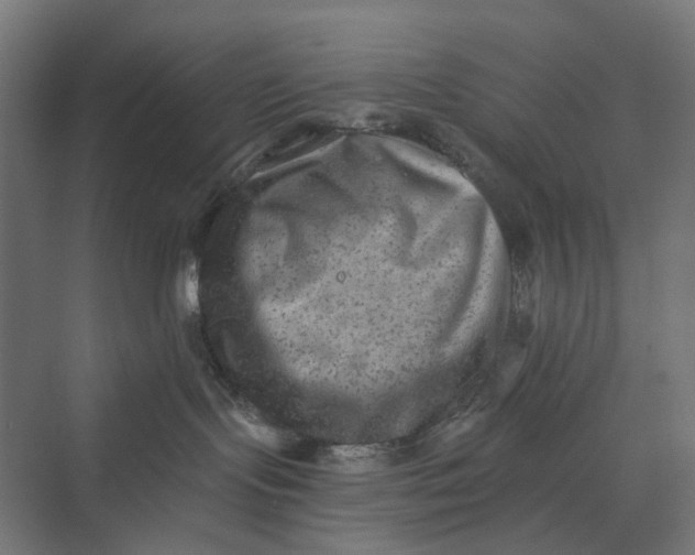 X0000069800095200606021450