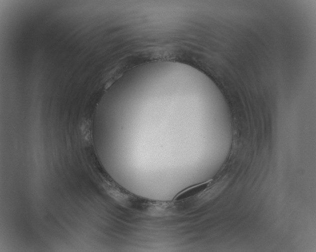 X0000069800096200606021450
