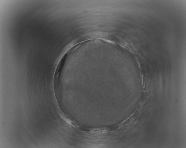 X0000069800099200606021450