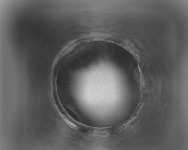 X0000069800101200606021449