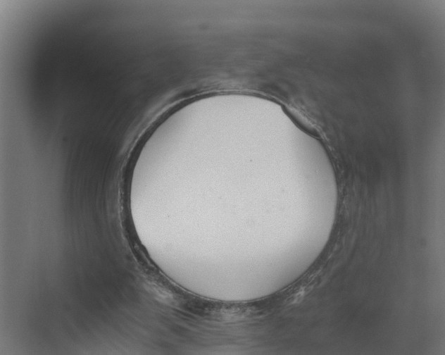 X0000069800103200606021449