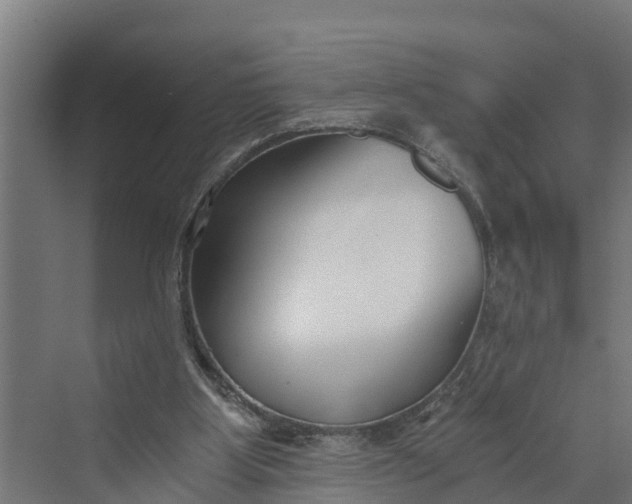 X0000069800107200606021449
