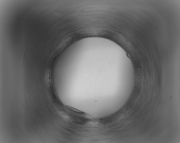 X0000069800119200606021449