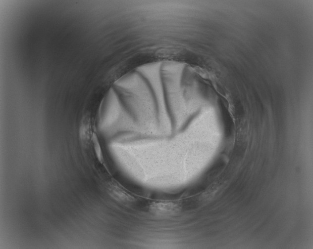 X0000069800137200606021449