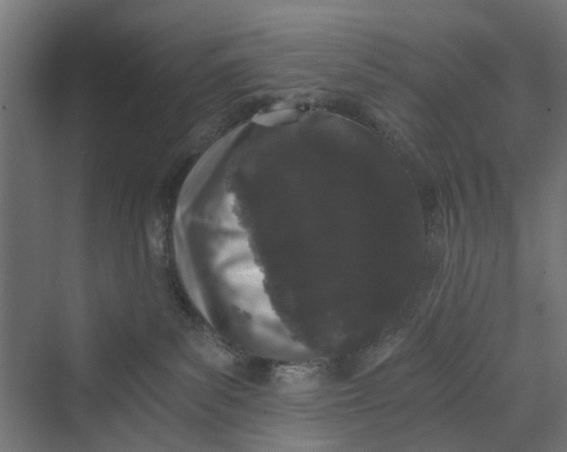 X0000069800139200606021449