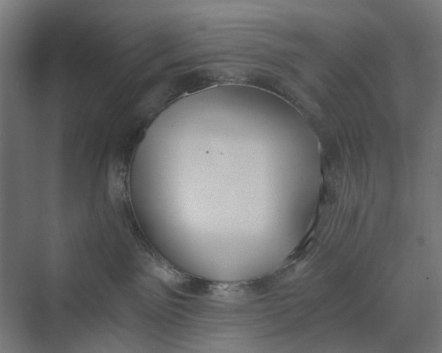 X0000069800141200606021449