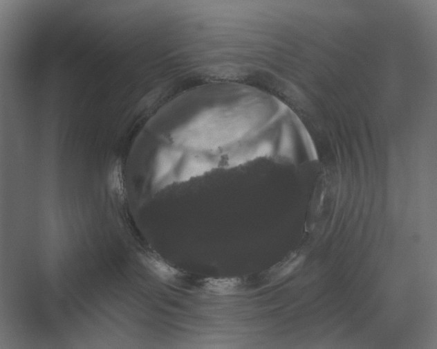 X0000069800143200606021449