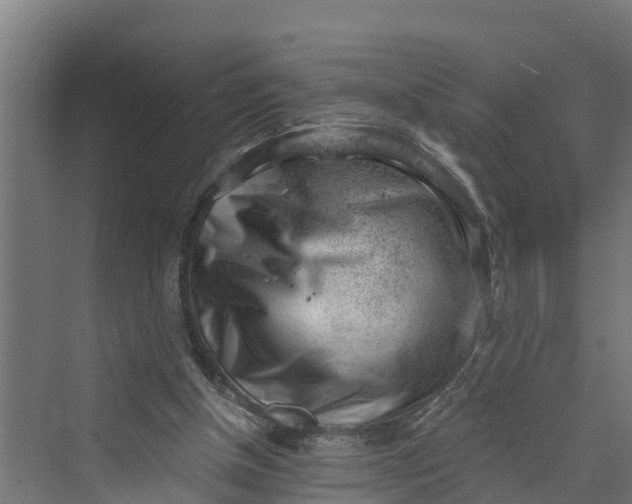 X0000069800154200606021448