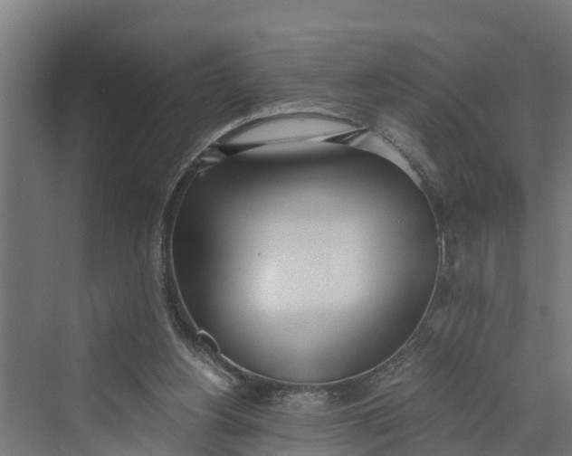 X0000069800156200606021448