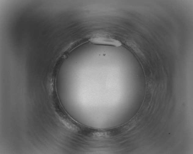 X0000069800160200606021448