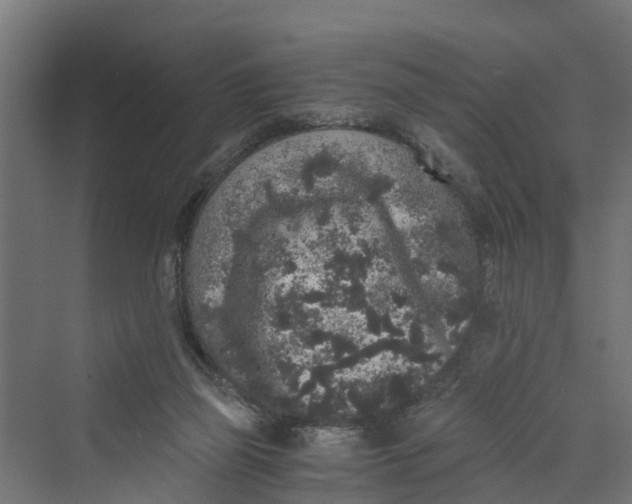 X0000069800165200606021448