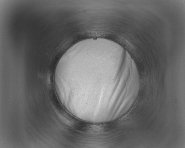 X0000069800166200606021448