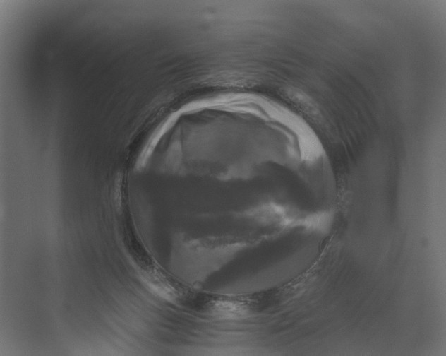 X0000069800167200606021448