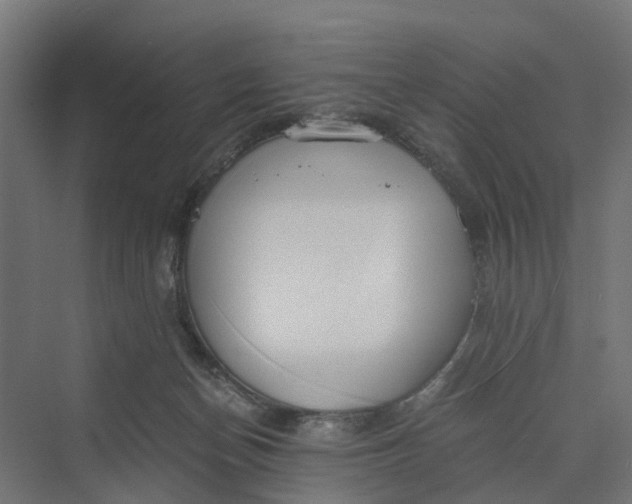 X0000069800174200606021448