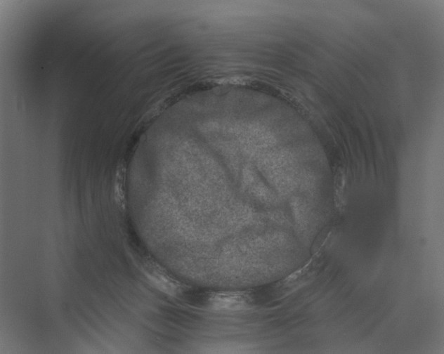 X0000069800175200606021448