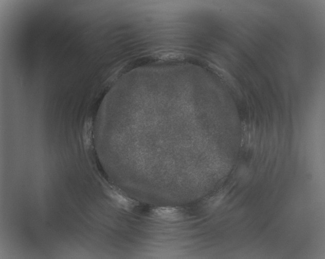 X0000069800189200606021449