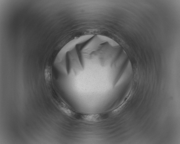 X0000069800191200606021449