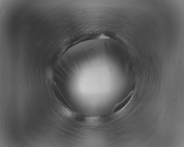 X0000069800192200606021449