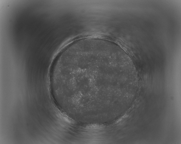 X0000069800198200606021448