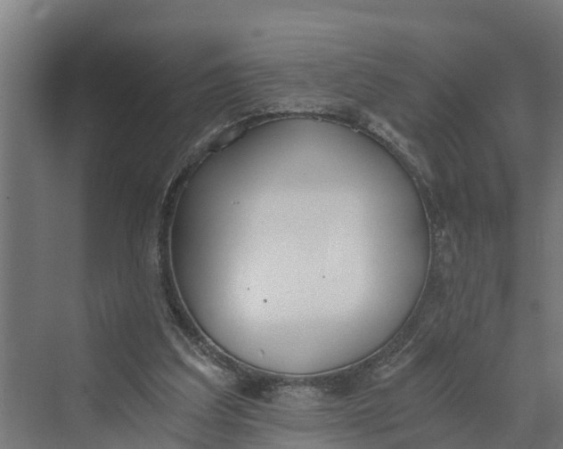 X0000069800203200606021448