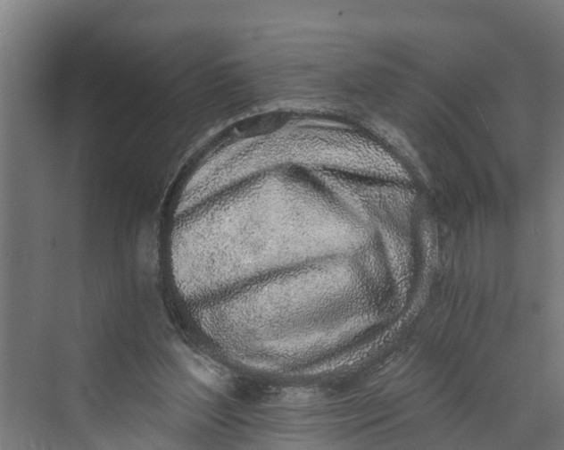 X0000069800204200606021448