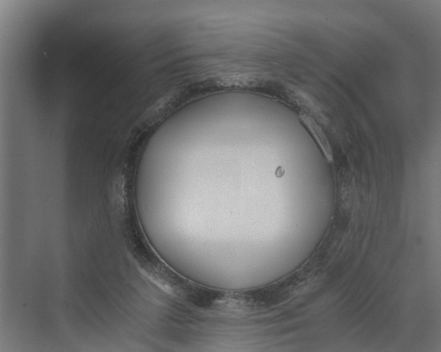 X0000069800211200606021448