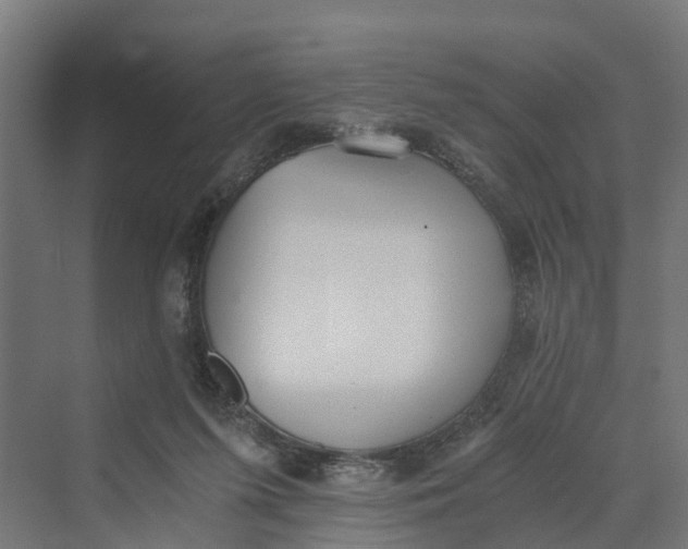 X0000069800215200606021448