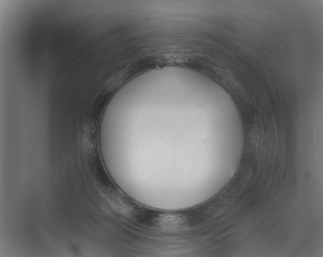 X0000069800218200606021447