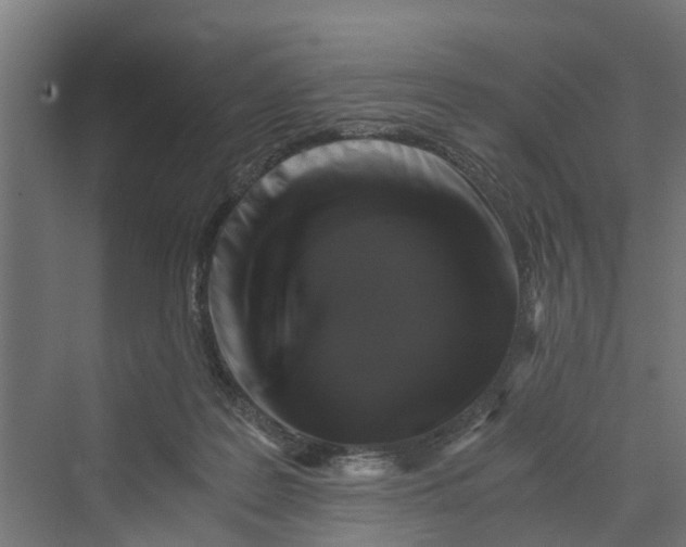 X0000069800219200606021447