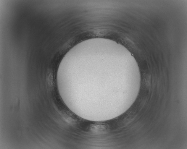 X0000069800220200606021447