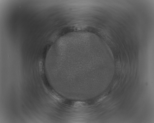 X0000069800222200606021447