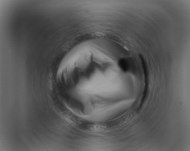 X0000069800223200606021447