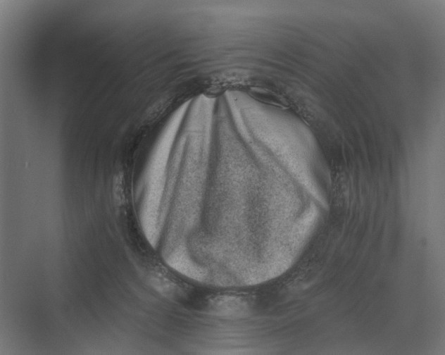 X0000069800224200606021447