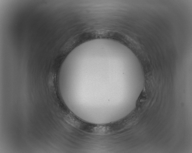 X0000069800225200606021447