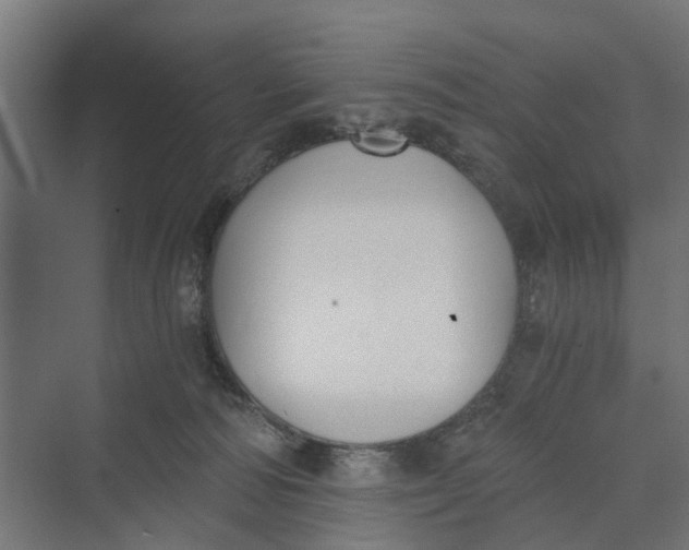 X0000069800226200606021447