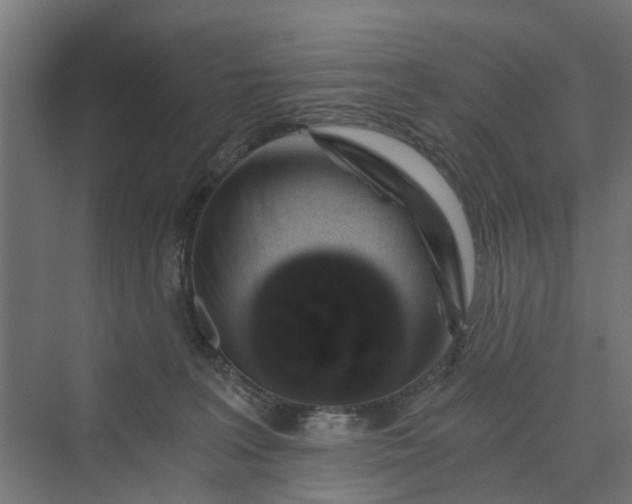 X0000069800227200606021447