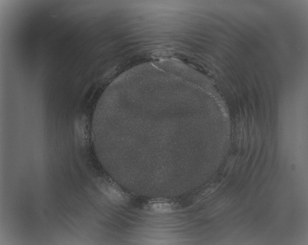 X0000069800228200606021447