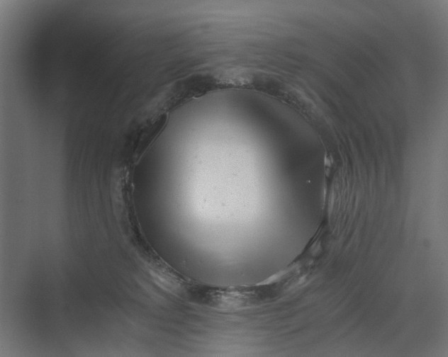 X0000069800229200606021447