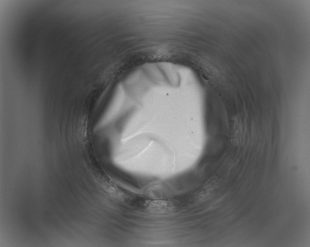 X0000069800230200606021447