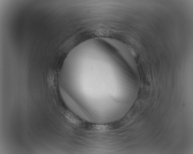 X0000069800233200606021447