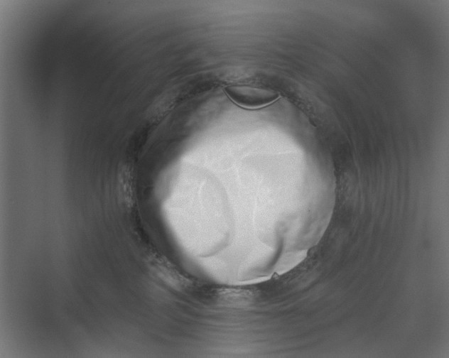 X0000069800234200606021447