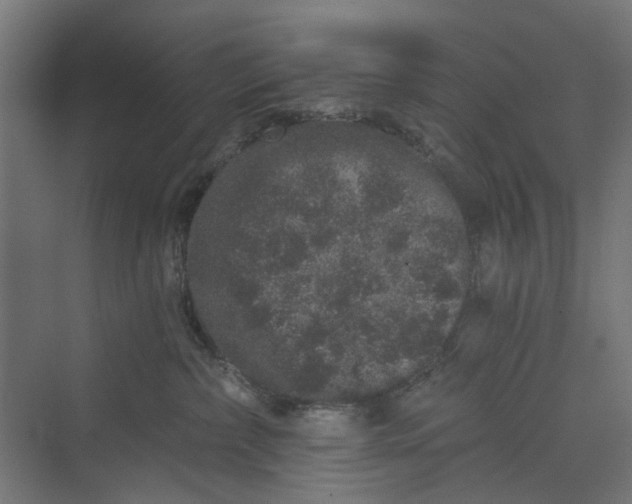 X0000069800236200606021447